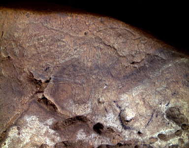 Cueva del Buxu horse