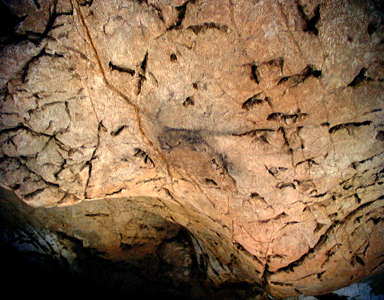 Cueva del Buxu artwork