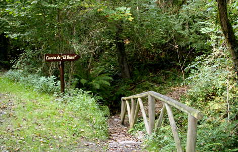 Cueva del Buxu