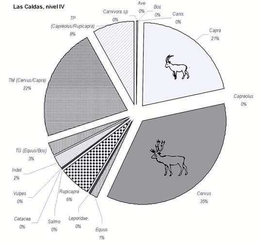  Las Caldas  fauna pie chart