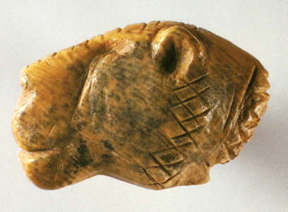 Cave Lion head