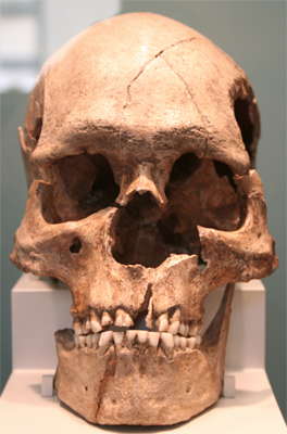 Combe-Capelle skull