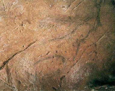 Cueva del Buxu deer