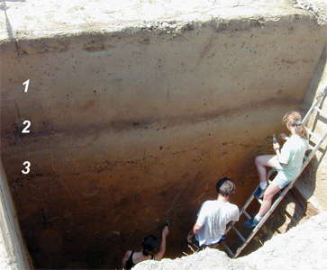 Galgenberg soil profile