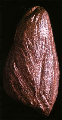 haematite