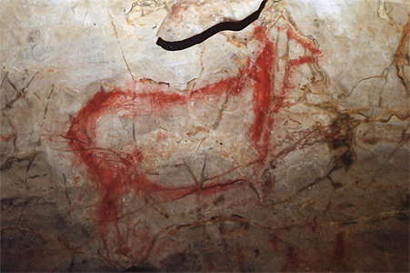 Cueva del Pindal red hind