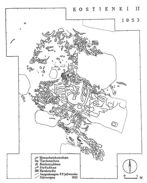 kostienki II 1953