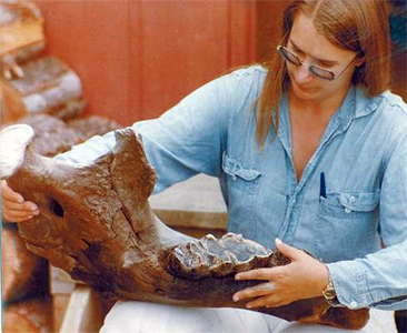  mastodon jaw