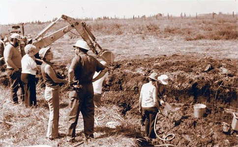 Manis Mastodon site