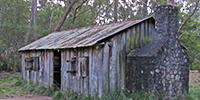 Grassy Creek to Mulligans Hut