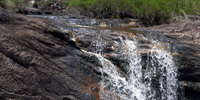 Gibraltar Range - Washpool walk