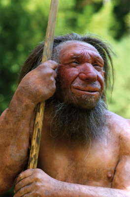 neandertal
