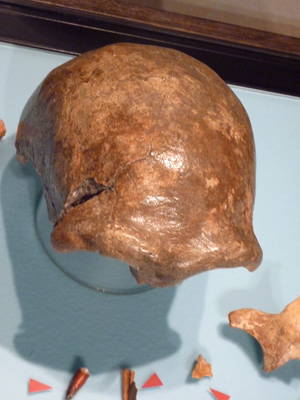 original neanderthal