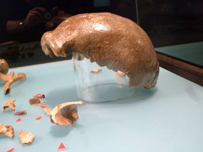 original neanderthal