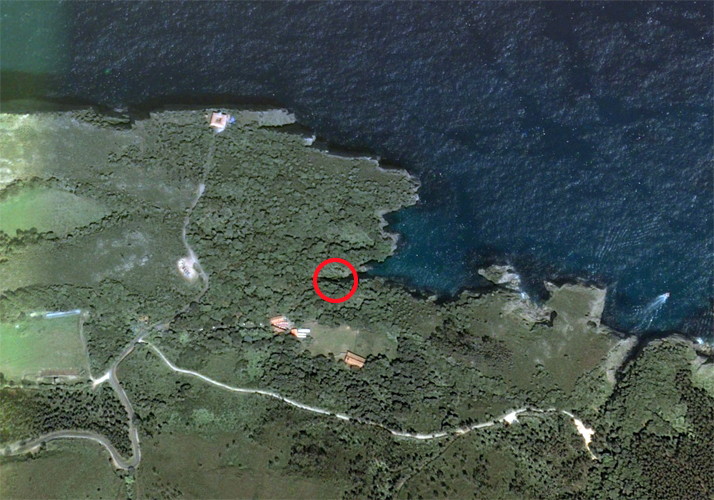 Cueva del Pindal from google earth