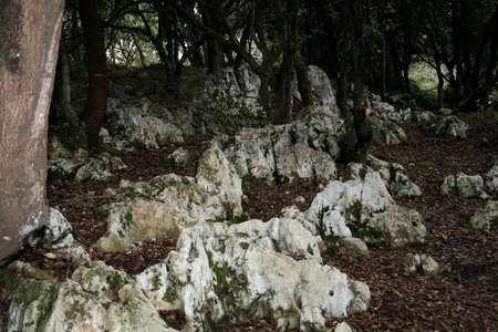 Cueva del Pindal sign