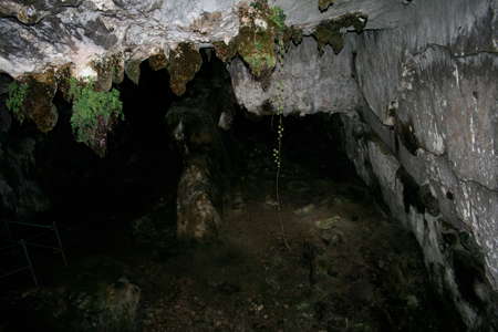 Cueva del Pindal interior