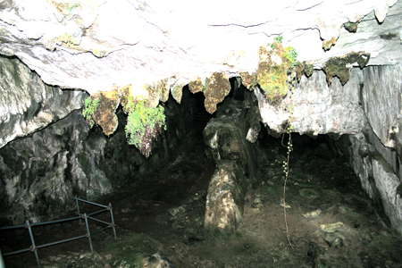 Cueva del Pindal interior