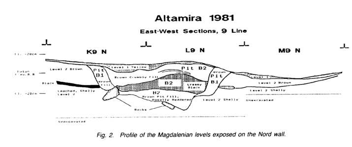 profile altamira 1981