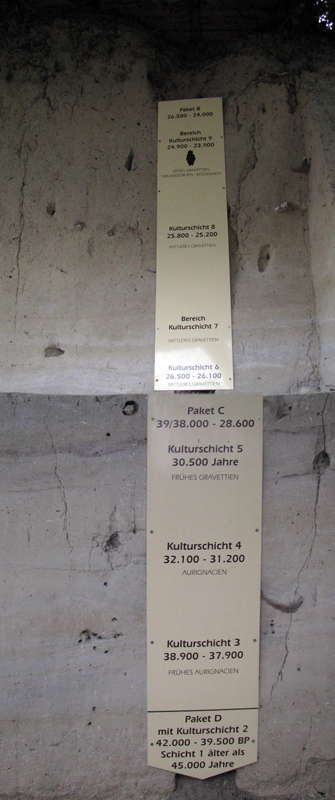 Soil Profile