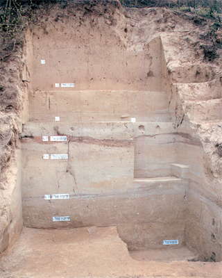 willendorf II soil profile