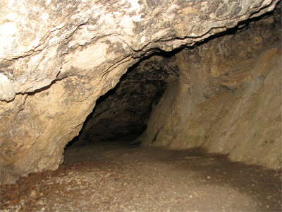 Vogelherd interior