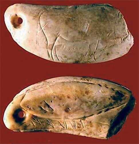  Las Caldas  Engraving on a whale tooth