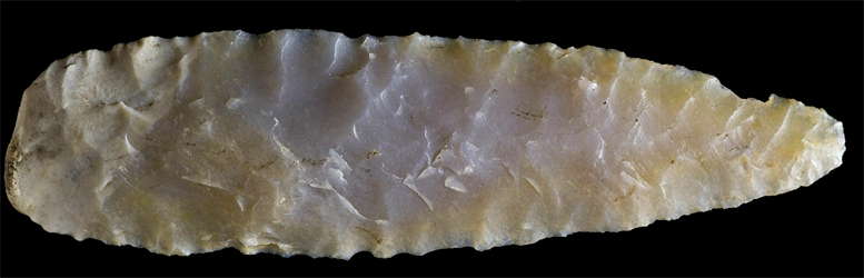 flint willowblade altamira