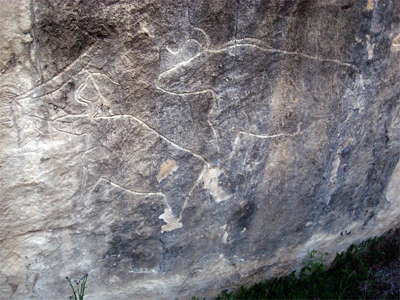 Aurochs, Gobustan, Azerbaijan