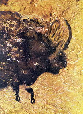 Lascaux crossed  bison detail