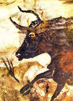 Great Black Bull lascaux