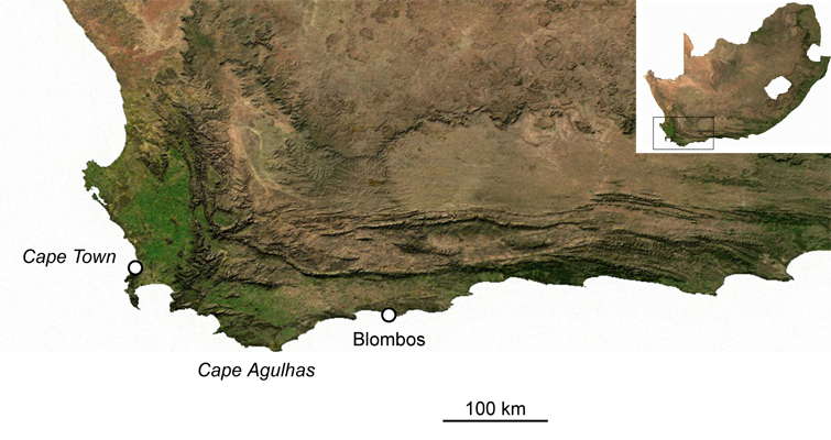 Blombos Cave Map