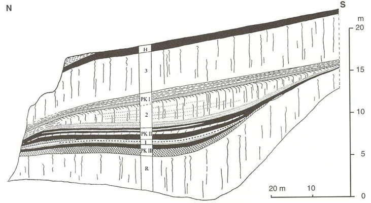 dolni vestonice brickyard profile