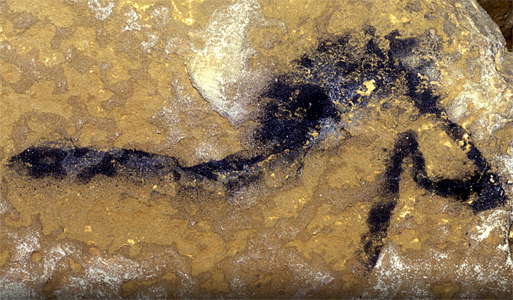 Lascaux horse in Shaft