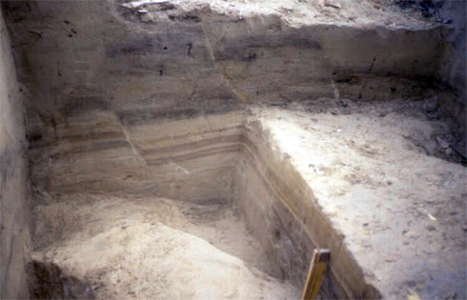 dolni vestonice III excavation