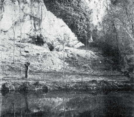 falaise originale