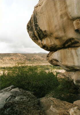 Fig.7: Black lichen at Site7, view to the South. Another good look-out.