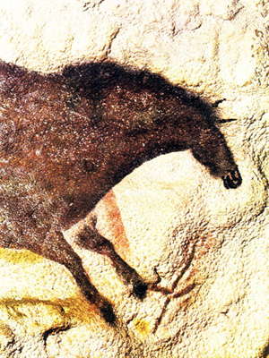 lascaux horse