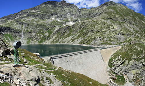 Ibex on dam wall