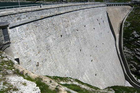 Ibex on dam wall