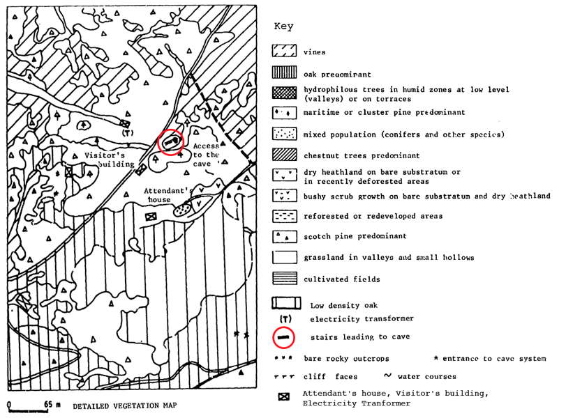 lascaux vegetation map 