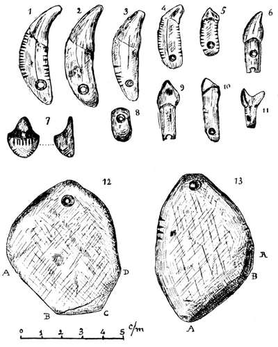 pecoirs plate 3