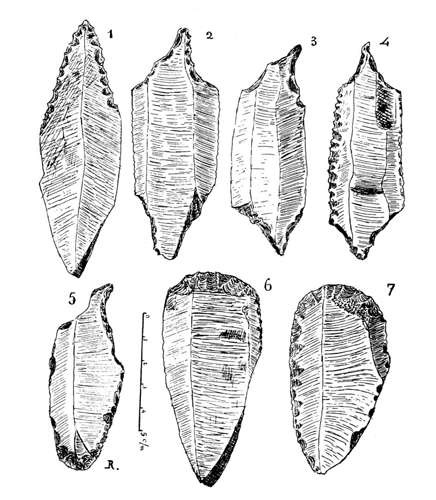 pecoirs plate 3