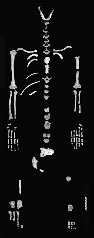 Skeleton,  Le Regourdou