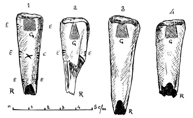 pecoirs plate 3