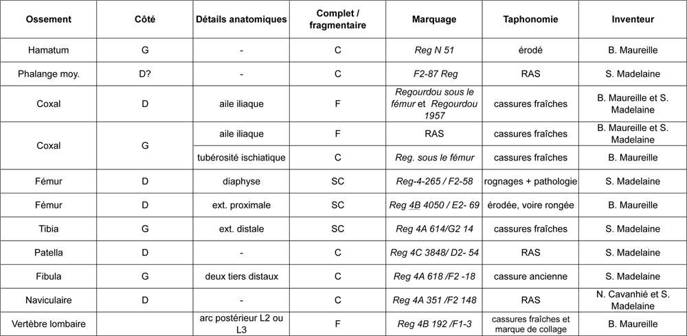 table of new finds,  Le Regourdou