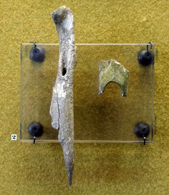 Mal'ta fish vertebrae