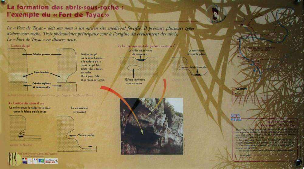 Laugerie Basse formation of abris