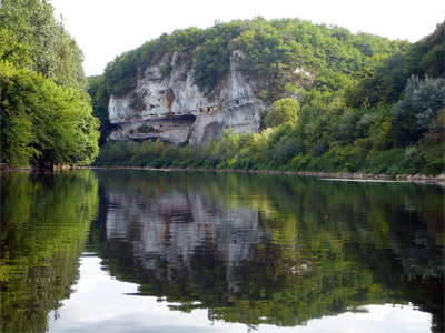 Lizard dordogne