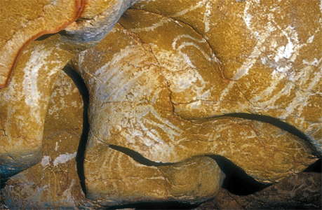 engraved aurochs